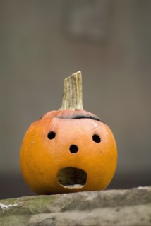 Small jack-o-lantern. Photo : Antonio M. Rosario