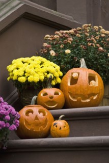 Jack-o-lanterns on steps. Photo : Antonio M. Rosario