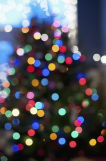 Christmas lights. Photo : Antonio M. Rosario