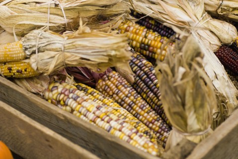Corn gourds in wooden crate. Photo : Antonio M. Rosario