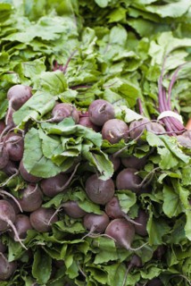 Pile of fresh beets. Photo : Antonio M. Rosario