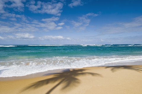 Caribbean beach. Photo : Antonio M. Rosario
