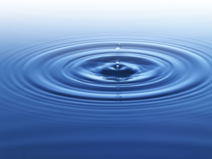 Ripples in water. Photo : David Arky