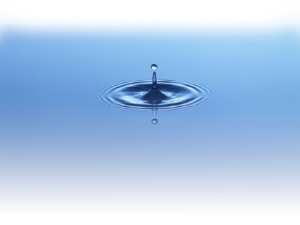 Ripples in water. Photo : David Arky