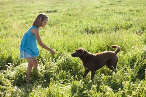 Young girl playing with her dog. Photo. Mike Kemp