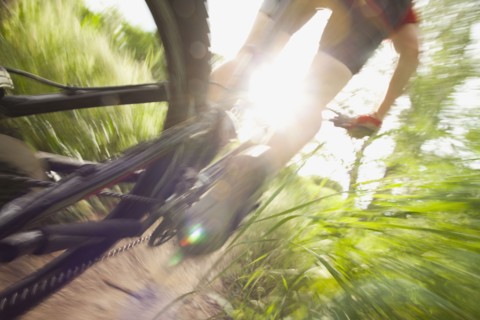 Cyclist on single track trail. Photo. Mike Kemp