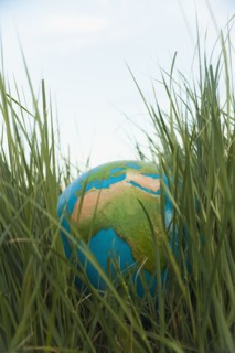 Globe in grass. Photo : Mike Kemp