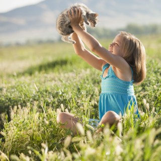 Young girl holding a kitten. Photo : Mike Kemp