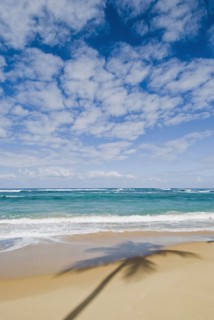 Caribbean beach. Photo : Antonio M. Rosario