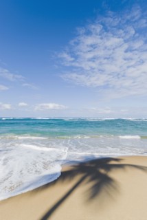Caribbean beach. Photo : Antonio M. Rosario