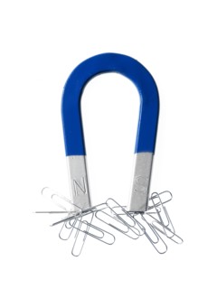Magnet and paper clips. Photo : David Arky