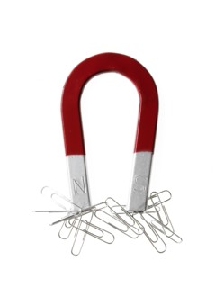 Magnet and paper clips. Photo : David Arky