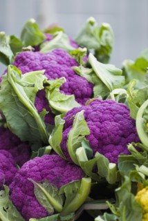 Purple cauliflower. Photo. Antonio M. Rosario