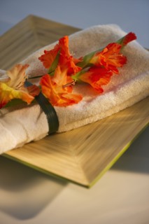 Gladioli flowers on towel. Photo. Daniel Grill