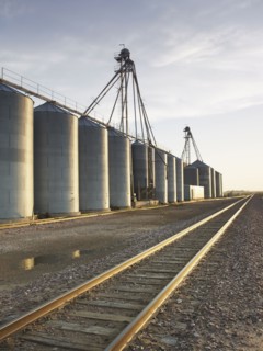 Train tracks beside silos. Photo : John Kelly