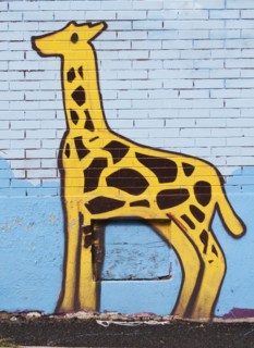 Graffiti drawing of an elephant. Photo : Daniel Grill