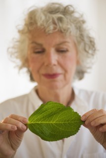 Woman holding a green leaf. Photo : Daniel Grill