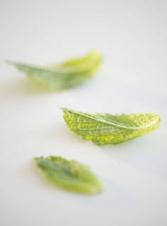 Mint leaves. Photo : Jamie Grill