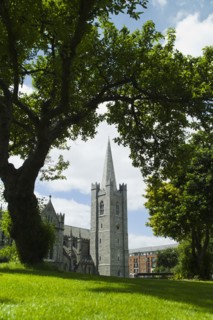 Lawn in front of Saint Patrick's Cathedral.