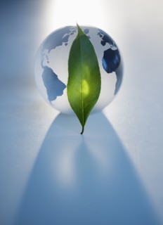 Green leaf in front of globe.