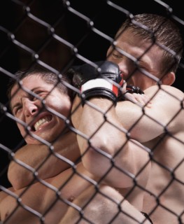 Cage fighters. Photo : Mike Kemp