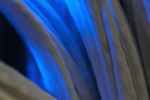 Network cables. Photo : Dan Bannister