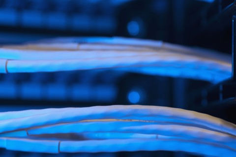 Network cables. Photo : Dan Bannister