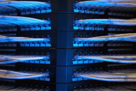 Network cables. Photo : Dan Bannister
