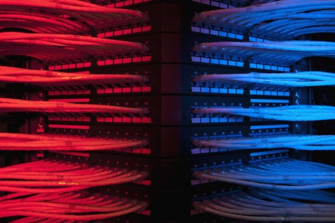 Network cables. Photo : Dan Bannister