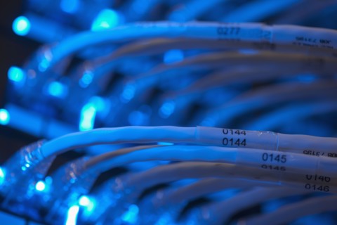 Network cables. Photo : Dan Bannister