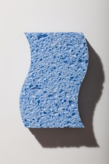 Blue sponge. Photo : David Engelhardt