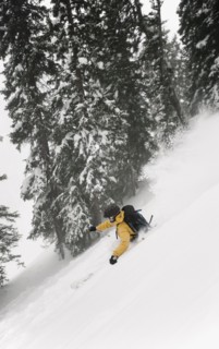 Alpine skier. Photo : John Kelly