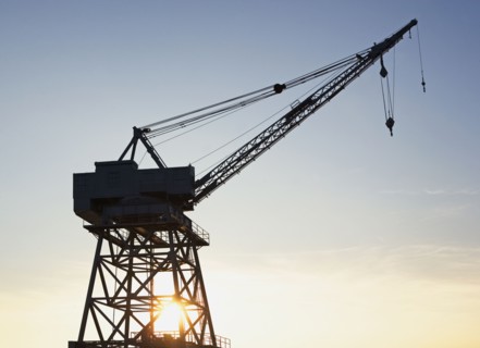 Crane. Photo : fotog