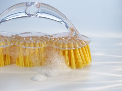 Cleaning brush. Photo : Daniel Grill