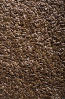 Flax seed. Photo : David Engelhardt