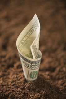 One hundred dollar bill in soil. Photo : Mike Kemp