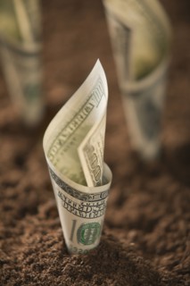 One hundred dollar bill in soil. Photo : Mike Kemp