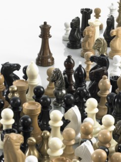 Queen with group of chess pieces. Photo : David Arky