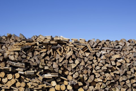 Stacked wood. Photo : Johannes Kroemer
