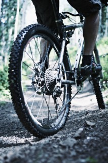 Man mountain biking . Photo : Shawn O'Connor