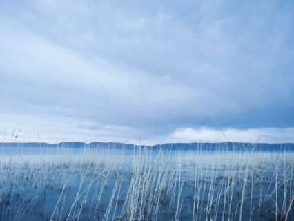 View of lake.