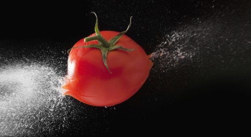 Tomato exploding. Photo : Mike Kemp