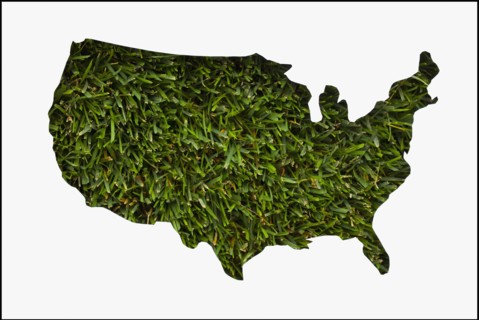 Map made from grass. Photo : Mike Kemp