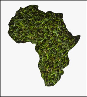 Africa map made from grass. Photo : Mike Kemp