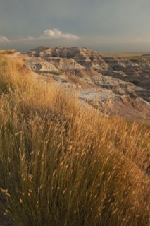 USA, South Dakota, Badlands National Park, Mountains with grass in foreground.