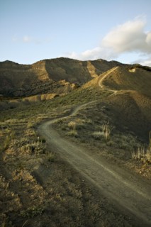 Mountain track. Photo : Shawn O'Connor