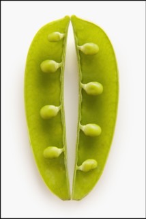 Peas in Pod. Photo : Mike Kemp