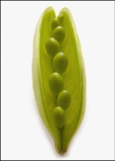 Peas in Pod. Photo : Mike Kemp
