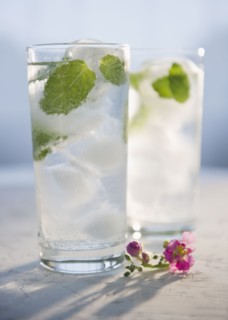 Studio shot of glasses with lemonade, flowers in the foreground. Photo : Jamie Grill