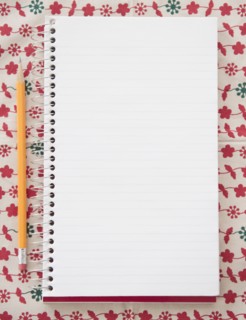 Blank notebook with pencil, directly above. Photo : Jamie Grill